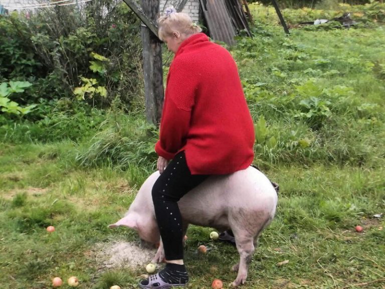 Чудаки и безумцы, тупость которых зашкаливает (21 фото) Чудаки и безумцы, тупость которых зашкаливает (21 фото)