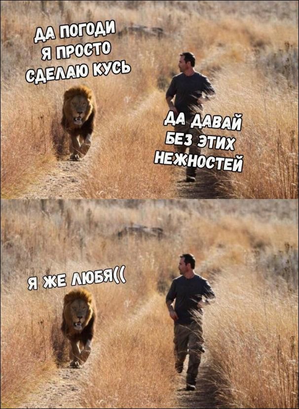 Убойные мемы и прикольные фото (30 фото)