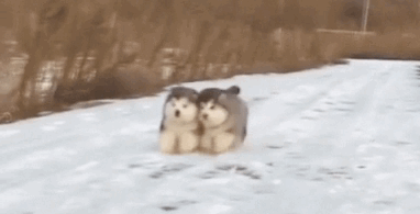 Полная синхронизация (14 гифок)