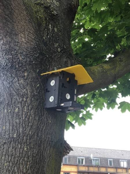 Свежая подборка прикольных мемов (33 картинки)