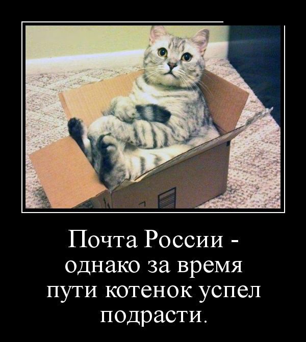 Прикольные картинки демотиваторы (30 фото) Прикольные картинки демотиваторы (30 фото)