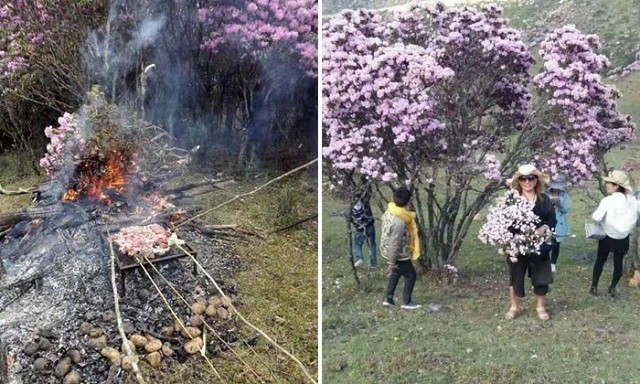 Именно из-за таких людей во многих странах недолюбливают туристов (23 фото) Именно из-за таких людей во многих странах недолюбливают туристов (23 фото)