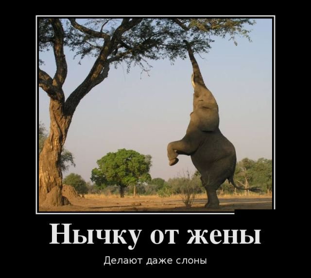 Прикольные картинки демотиваторы (30 фото) Прикольные картинки демотиваторы (30 фото)