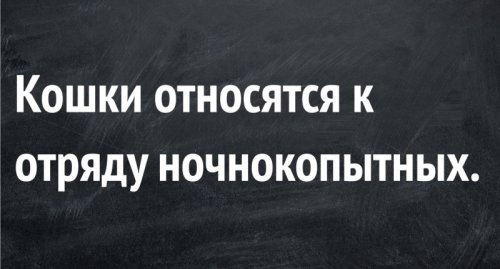 Свежая подборка прикольных мемов (33 картинки)