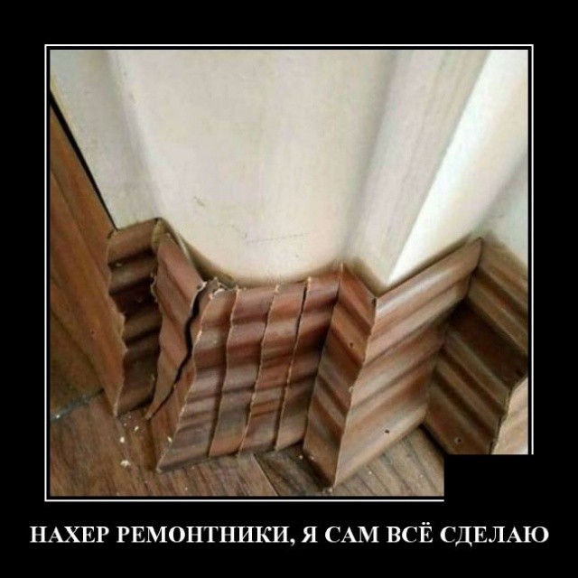 Демотиваторы про животных: котов, медведей и не только Демотиваторы про животных: котов, медведей и не только