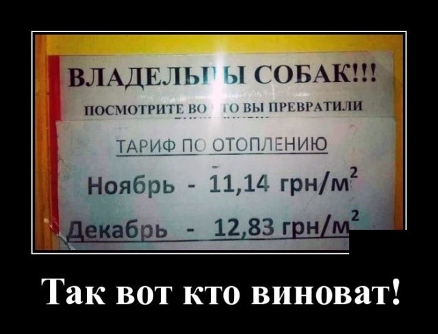 Прикольные демотиваторы июля про нашу жизнь