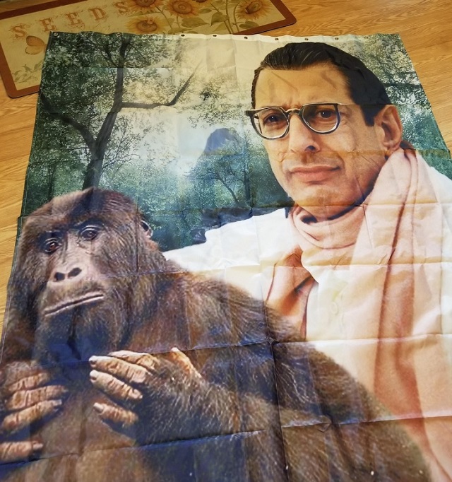 Семейные розыгрыши и шутки (19 фото)