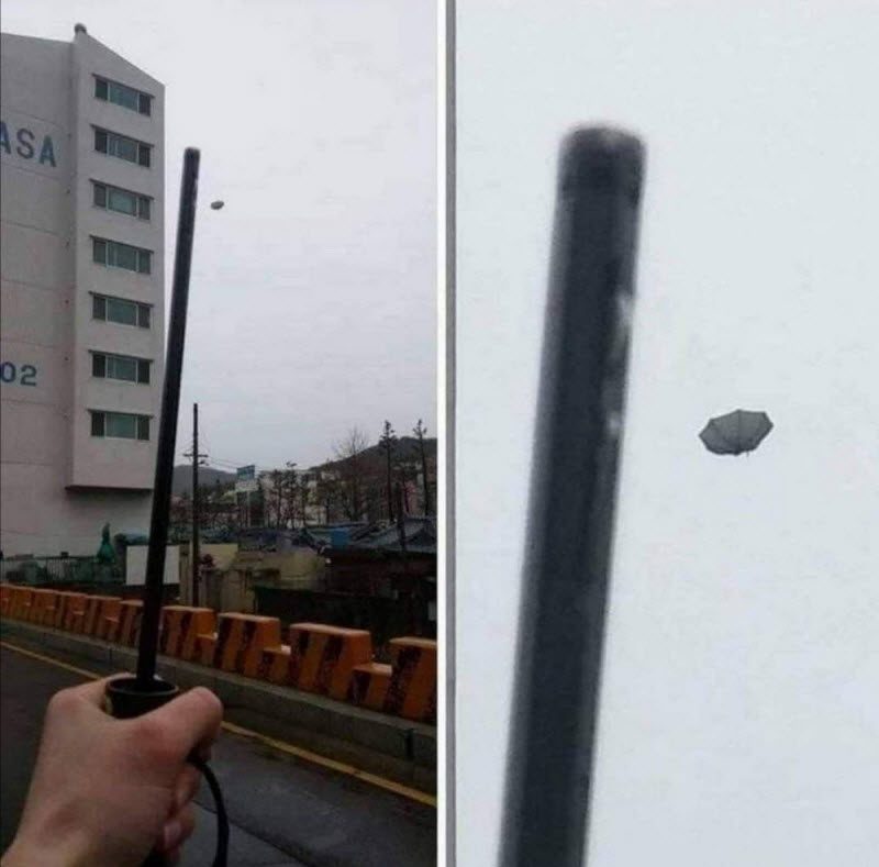 Бывают в жизни огорчения (39 фото)