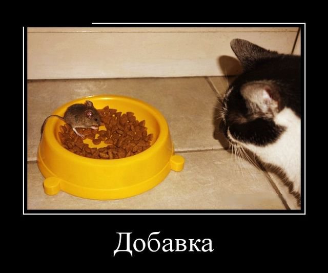 Прикольные картинки демотиваторы (30 фото) Прикольные картинки демотиваторы (30 фото)