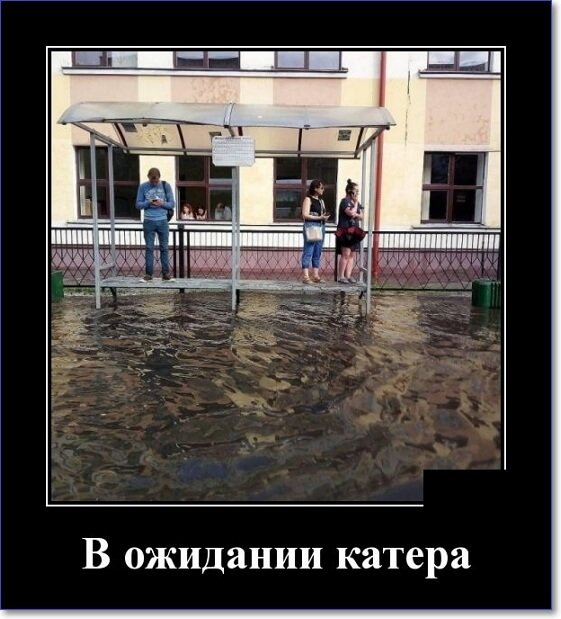 Новые демотиваторы 2019 года