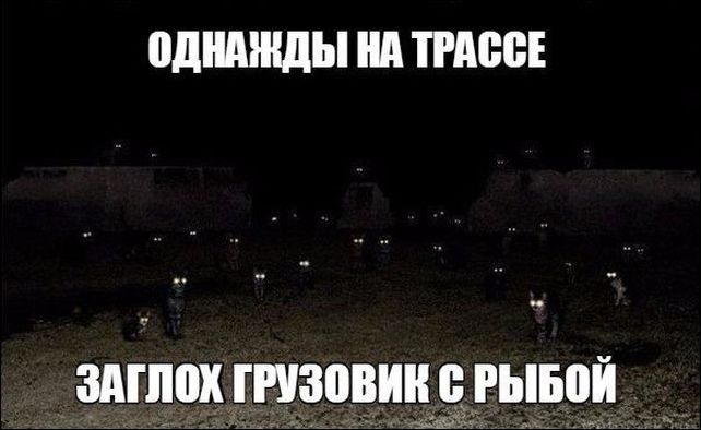 Убойные мемы и прикольные фото (30 фото)