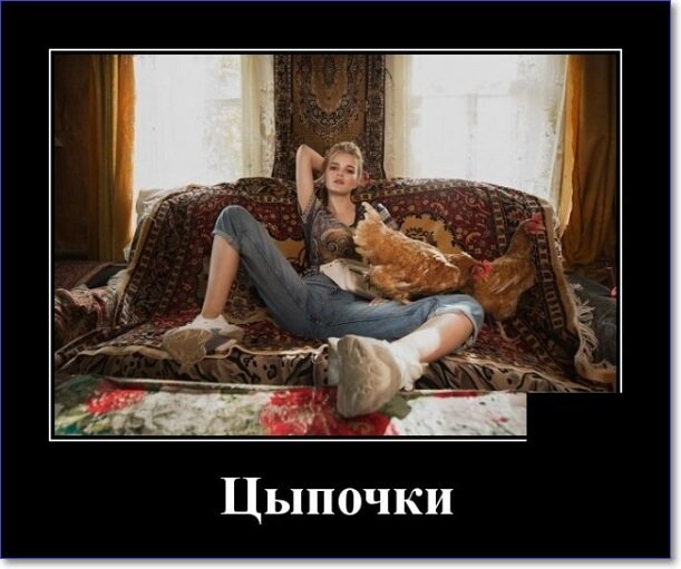 Новые демотиваторы 2019 года