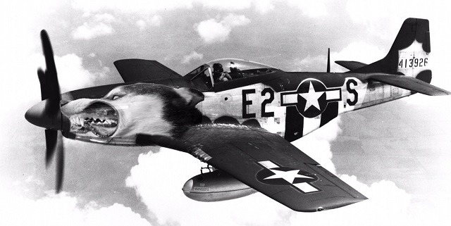 Хаски высунулся в окно и стал героем фотошоп-батла (15 фото)