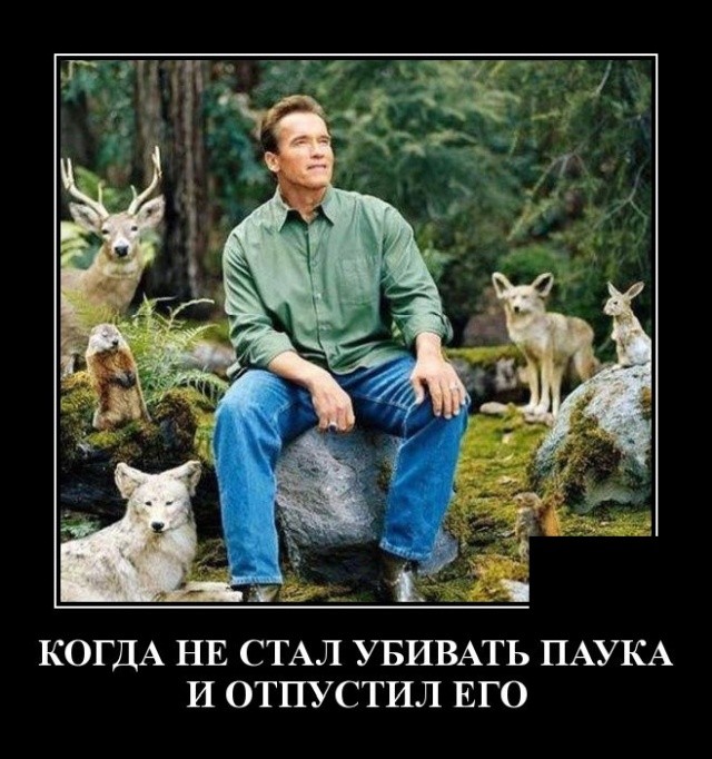 Демотиваторы про животных: котов, медведей и не только Демотиваторы про животных: котов, медведей и не только