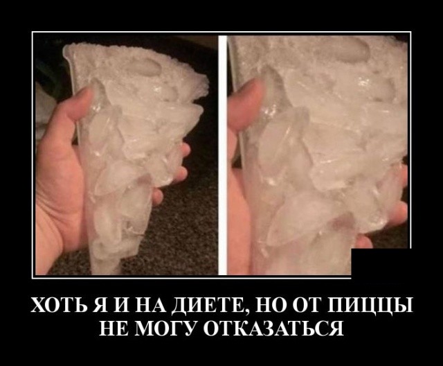 Демотиваторы про животных: котов, медведей и не только Демотиваторы про животных: котов, медведей и не только
