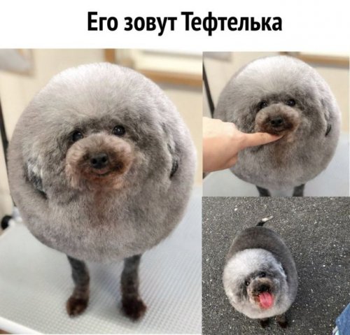 Свежая подборка прикольных мемов (33 картинки)