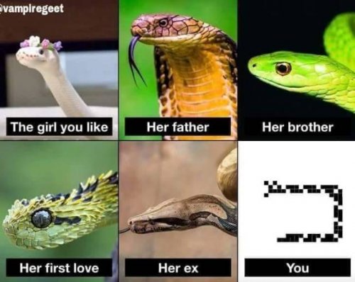 Приколы в картинках и фото (31 шт)