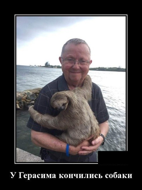 Забавные демотиваторы июля 2019 года Забавные демотиваторы июля 2019 года