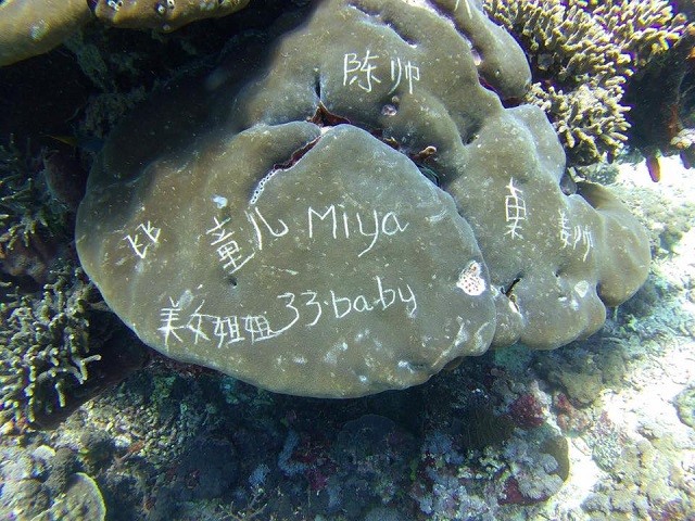 Именно из-за таких людей во многих странах недолюбливают туристов (23 фото) Именно из-за таких людей во многих странах недолюбливают туристов (23 фото)