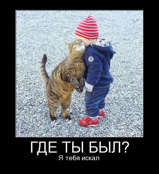 Новые и свежие демотиваторы, август 2019г. (22 фото)