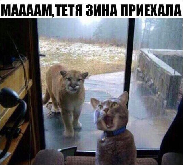 Убойные мемы и прикольные фото (30 фото)