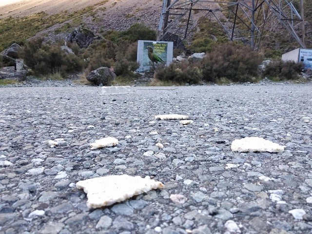 Именно из-за таких людей во многих странах недолюбливают туристов (23 фото) Именно из-за таких людей во многих странах недолюбливают туристов (23 фото)