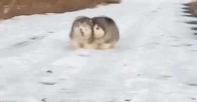 Полная синхронизация (14 гифок)