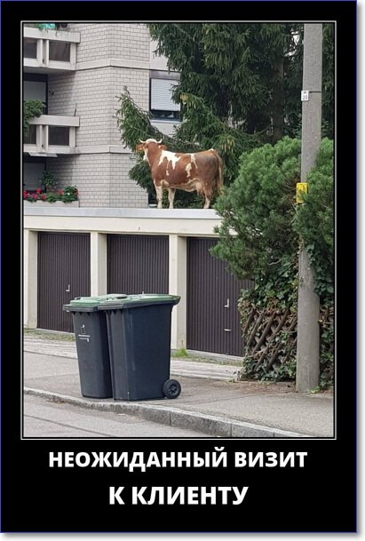 Новые демотиваторы 2019 года