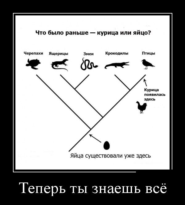 Свежие российские демотиваторы 2019 (30 фото)