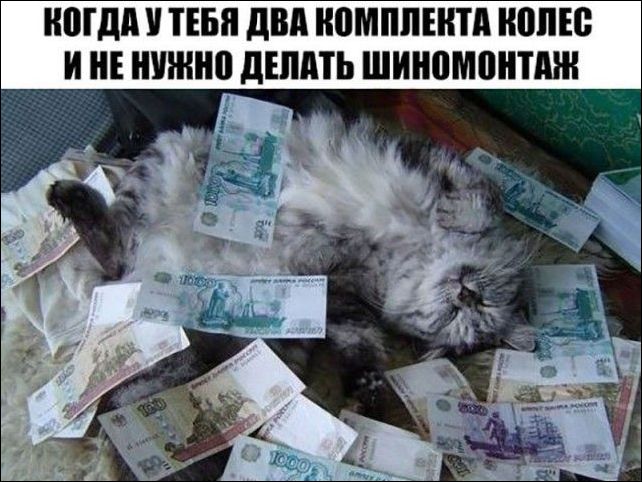 Убойные мемы и прикольные фото (30 фото)