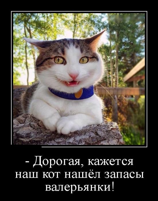 Прикольные картинки демотиваторы (30 фото) Прикольные картинки демотиваторы (30 фото)