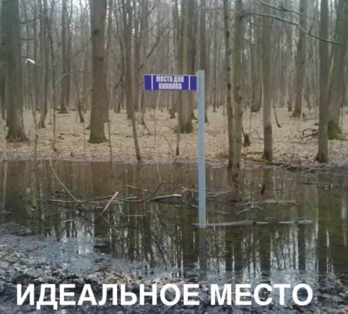 Свежие мемы (22 мемасика)