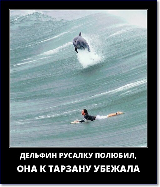 Новые демотиваторы 2019 года