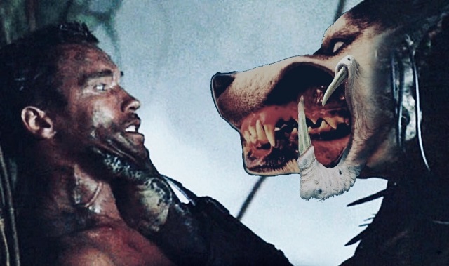 Хаски высунулся в окно и стал героем фотошоп-батла (15 фото)