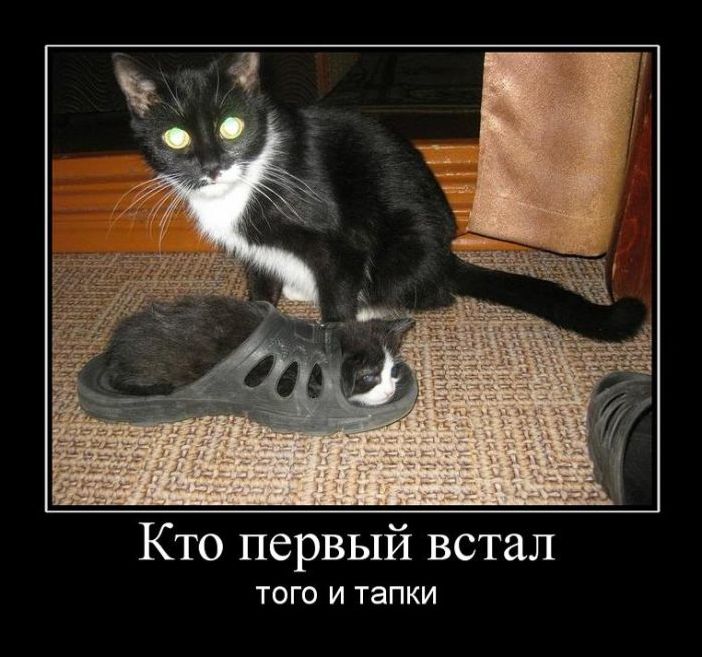 Угарные демотиваторы (29 фото)