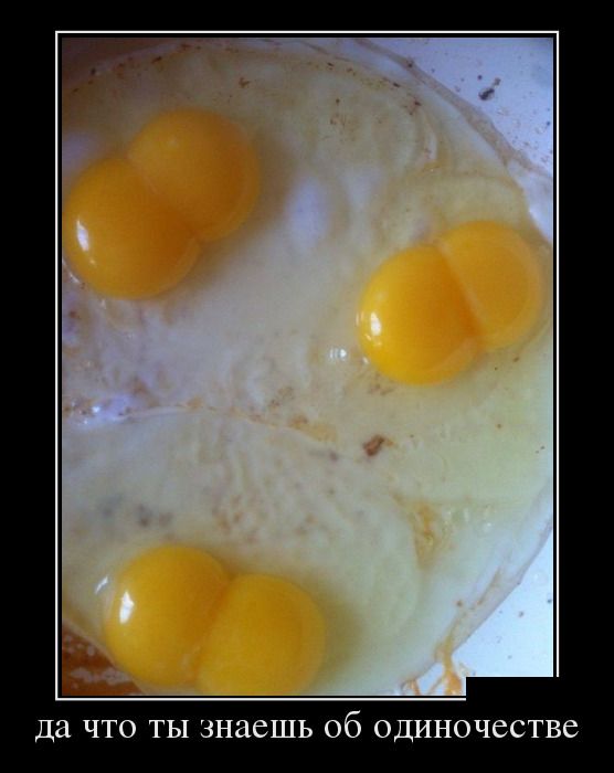 Свежие российские демотиваторы 2019 (30 фото)