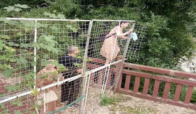 Именно из-за таких людей во многих странах недолюбливают туристов (23 фото) Именно из-за таких людей во многих странах недолюбливают туристов (23 фото)