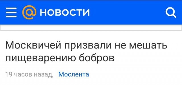 Забавные и странные заголовки, которые заставят вас улыбнуться (24 фото)