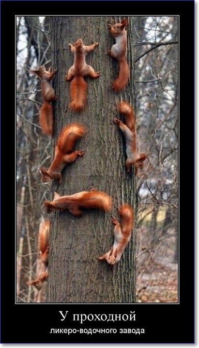 Новые демотиваторы 2019 года