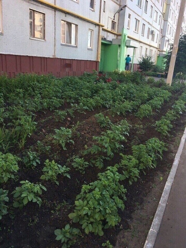 Подборка фотографий из категории "Теперь я увидел все" (14 фото) Подборка фотографий из категории "Теперь я увидел все" (14 фото)