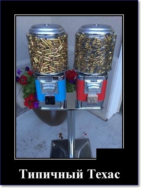 Новые демотиваторы 2019 года