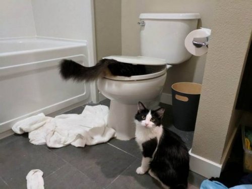 Свежая подборка прикольных мемов (33 картинки)