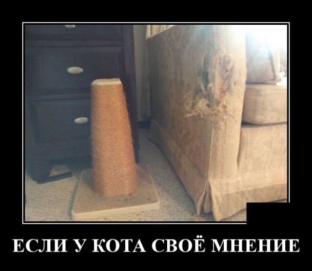 Прикольные демотиваторы июля про нашу жизнь