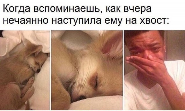 Забавные картинки без смысловой нагрузки (35 фото)