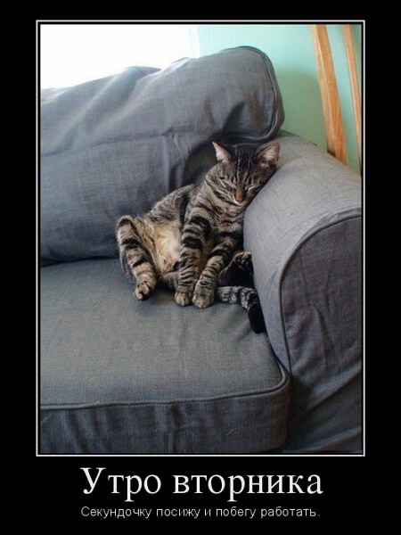 Демотиваторы доброе утро Демотиваторы доброе утро