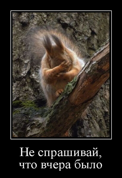 Новые демотиваторы сентября 2019