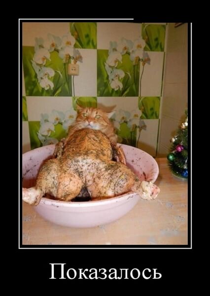 Новые демотиваторы сентября 2019