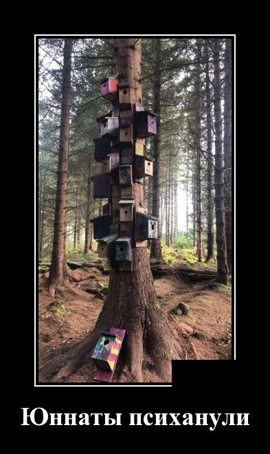 Смешные и свежие демотиваторы (30 демок)