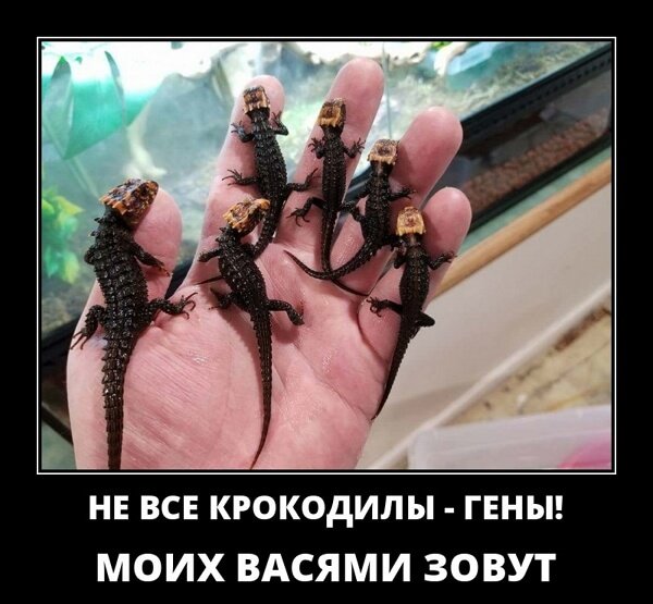  Классные демотиваторы сентября (30 демок)