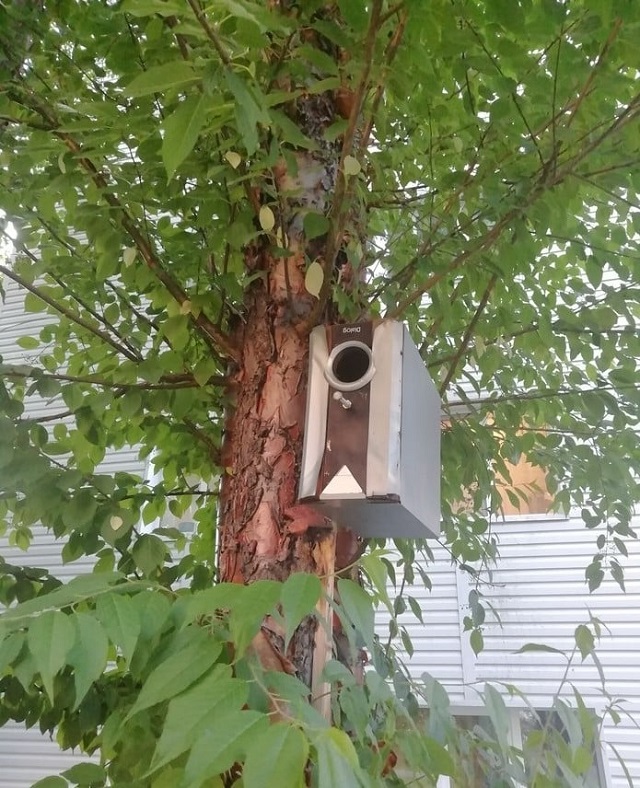 За дело принимается мамин инженер (17 фото)